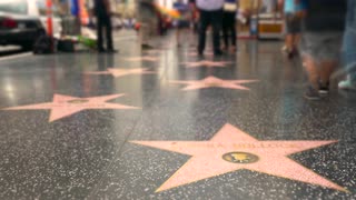 Hollywood Stars